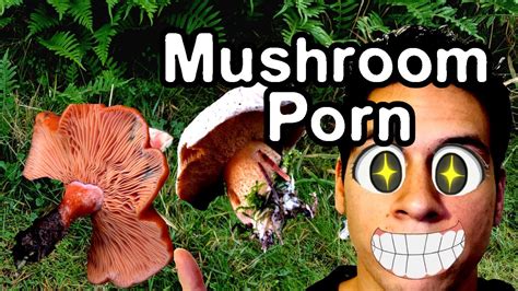 mushroom sex video|Mushroom Porn Videos .